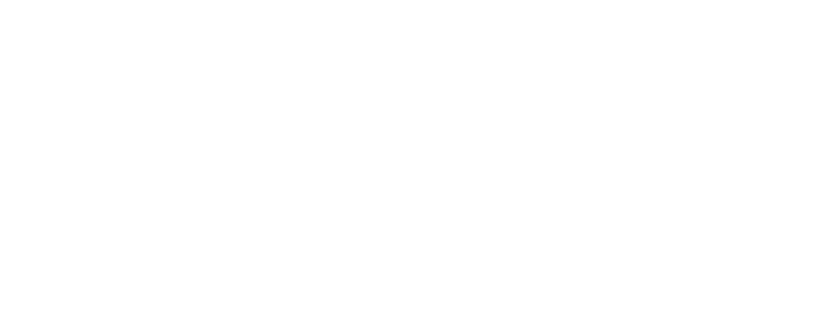 Slide 31